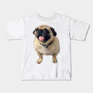 Pug Pull Dog Pet Kids T-Shirt